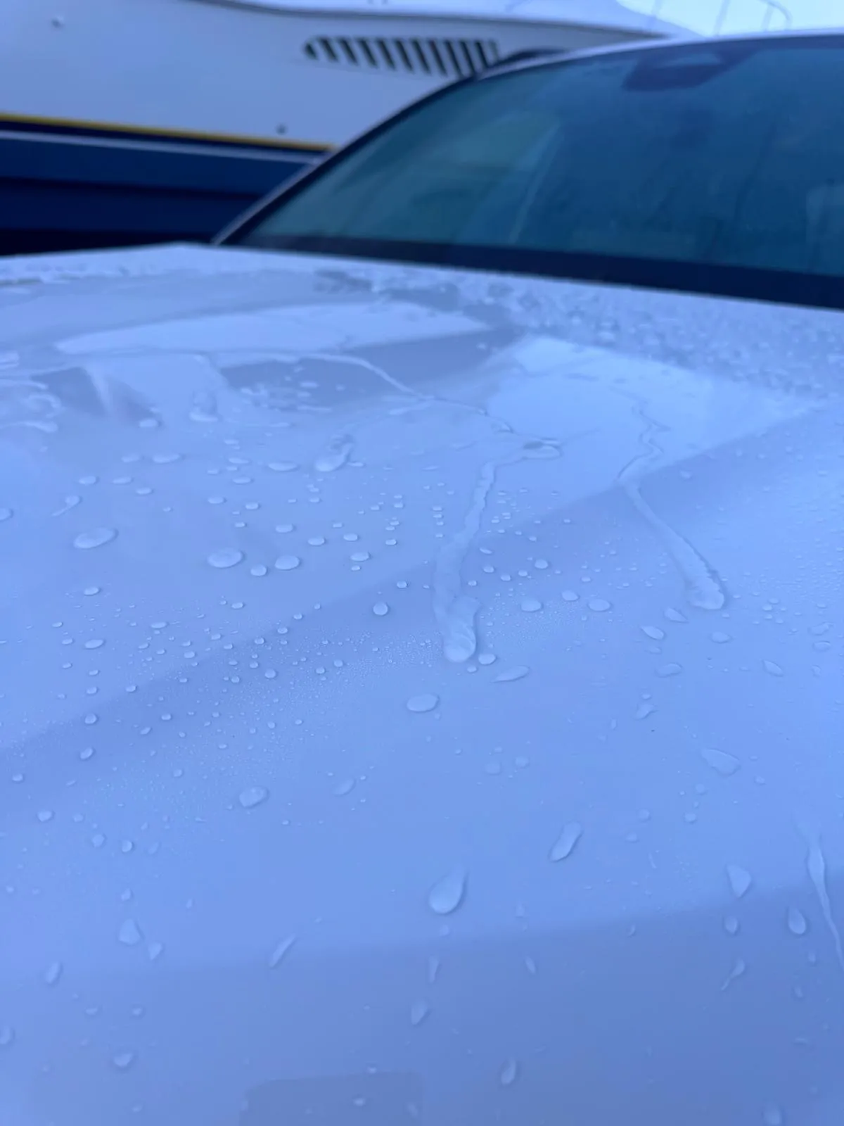 Mobile auto detailing work in New York 18